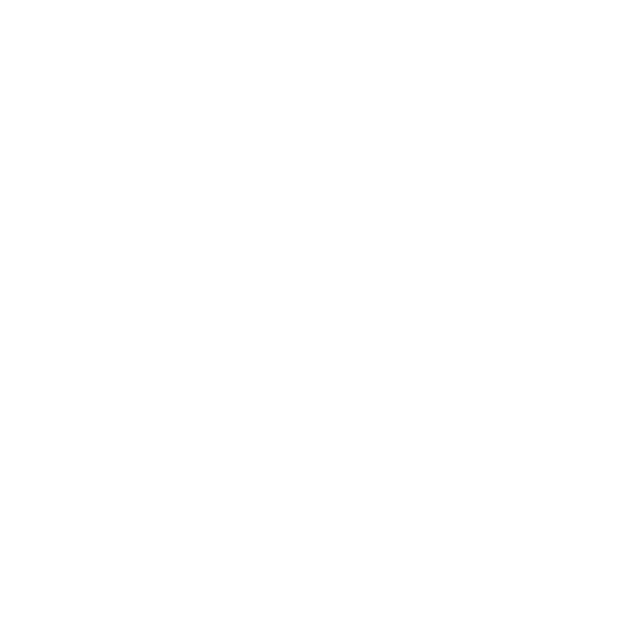 Devin logo